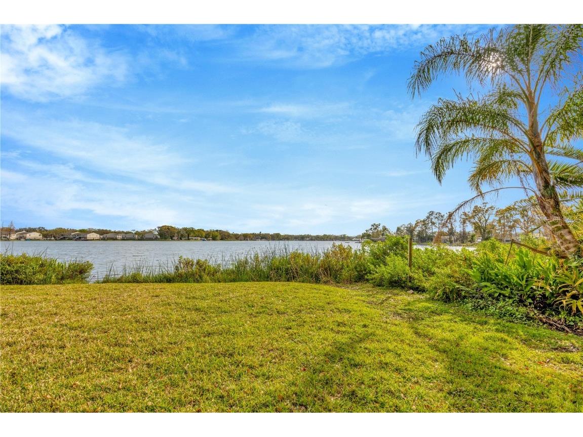 7201 Hodgewood Ct Court Tampa FL 33614 - EGYPT LAKE TB8448439 image56