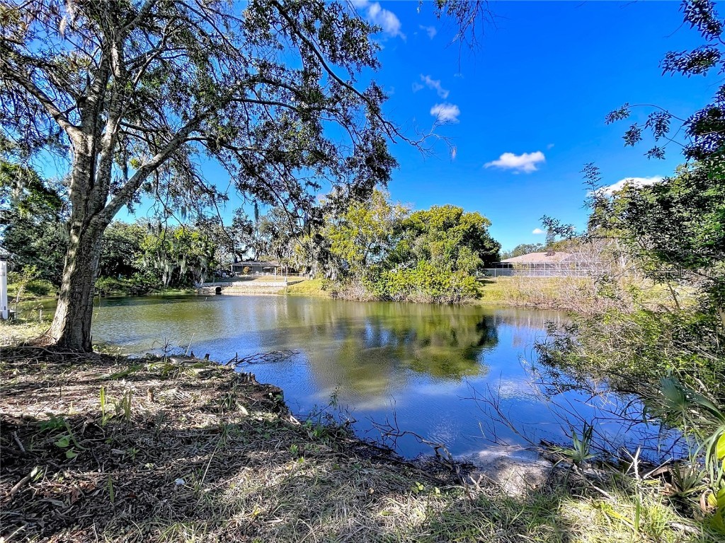 7201 Maplehurst Drive Port Richey FL 34668 W7881556 image6