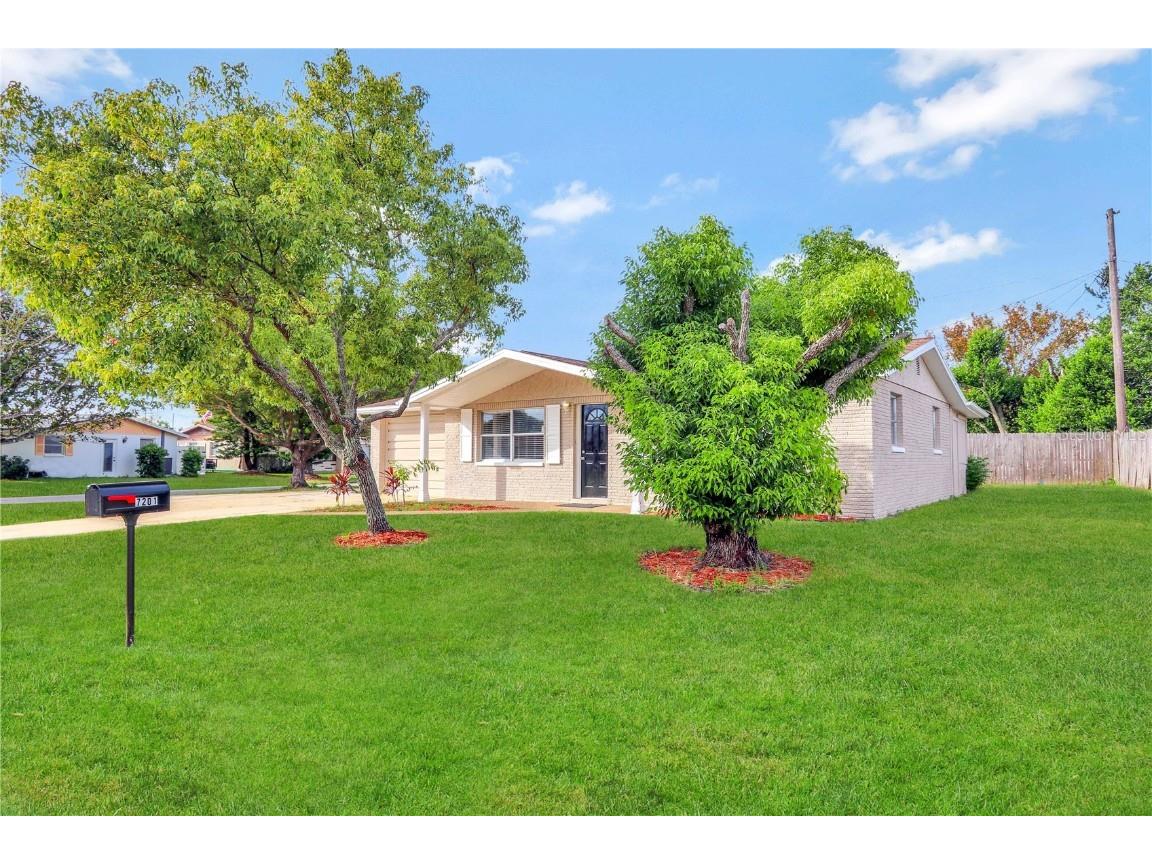 7201 Palisade Drive Port Richey FL 34668 O6157527 image1