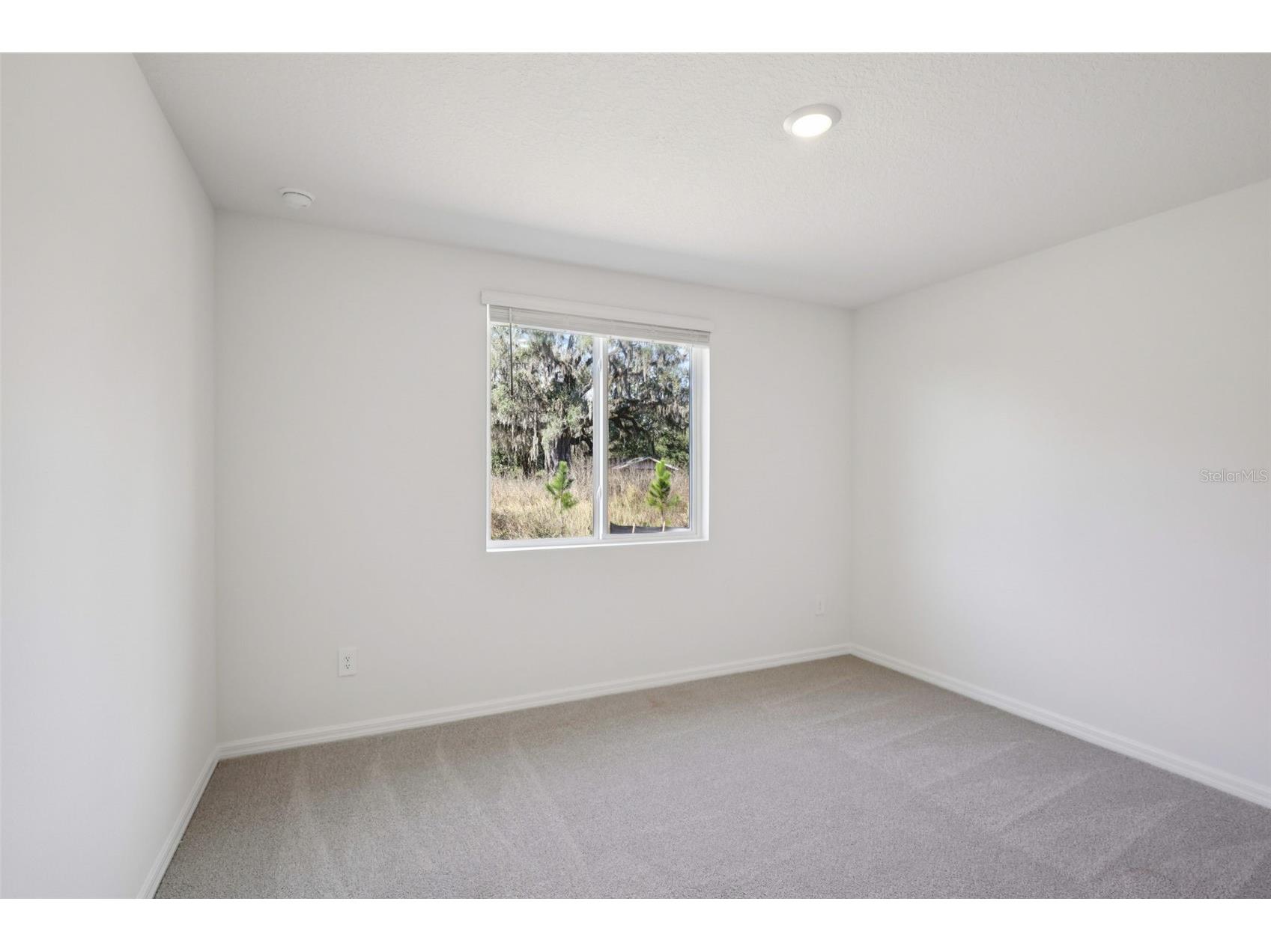 7201 Ray Creek Drive Brooksville FL 34601 O6369149 image26