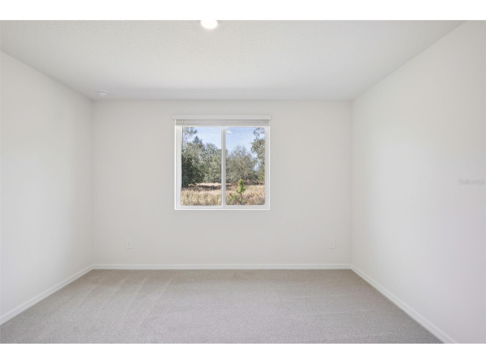 7201 Ray Creek Drive Brooksville FL 34601 O6369149 image28