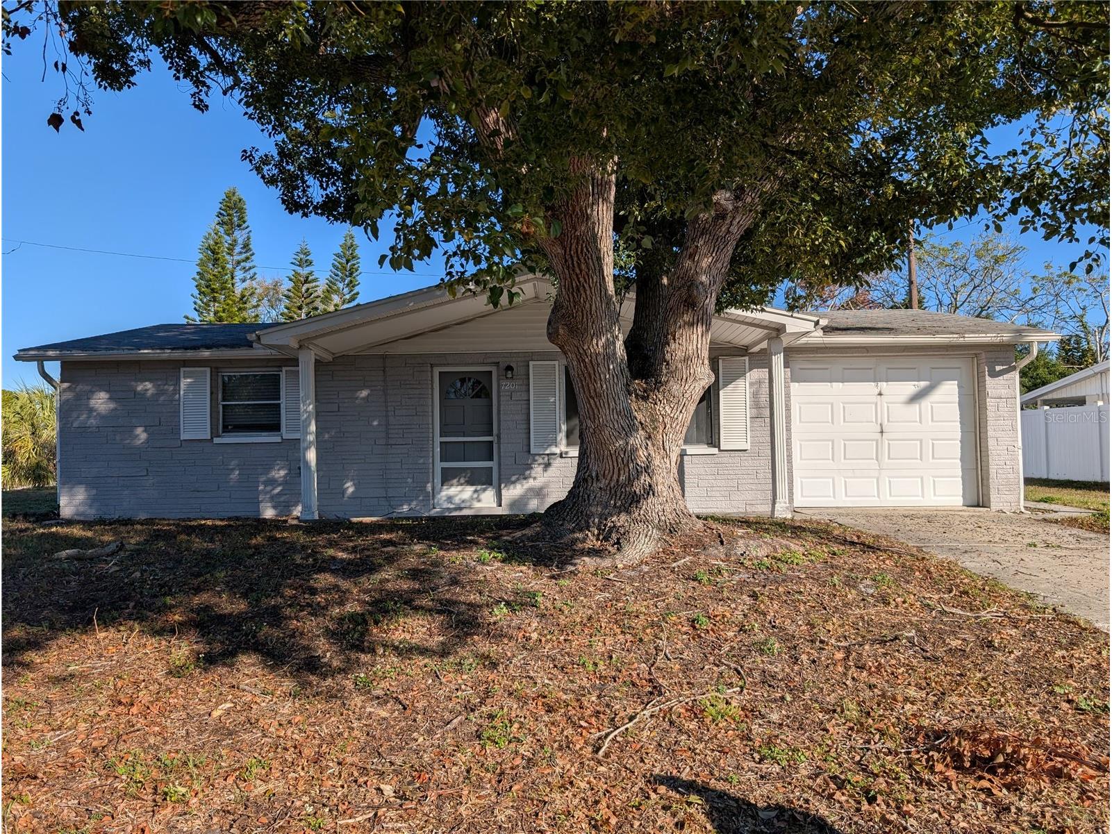 7201 Rhinebeck Drive Port Richey FL 34668 W7881691 image1