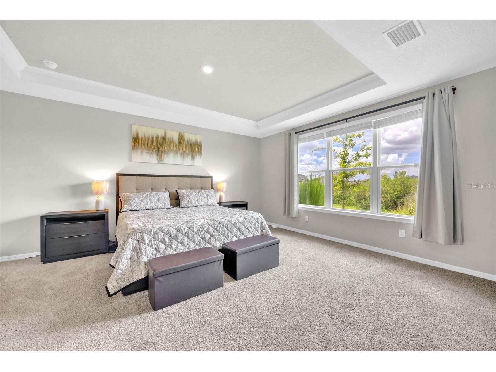 7201 Talamore Drive Wesley Chapel FL 33545 TB8496180 image14
