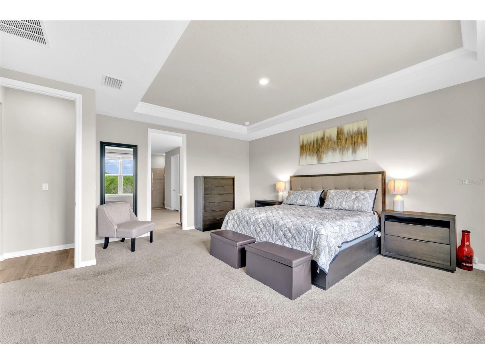 7201 Talamore Drive Wesley Chapel FL 33545 TB8496180 image15