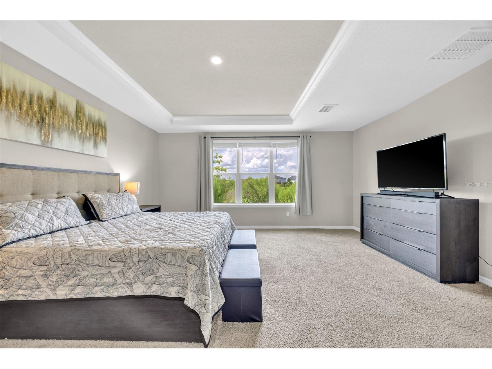 7201 Talamore Drive Wesley Chapel FL 33545 TB8496180 image16