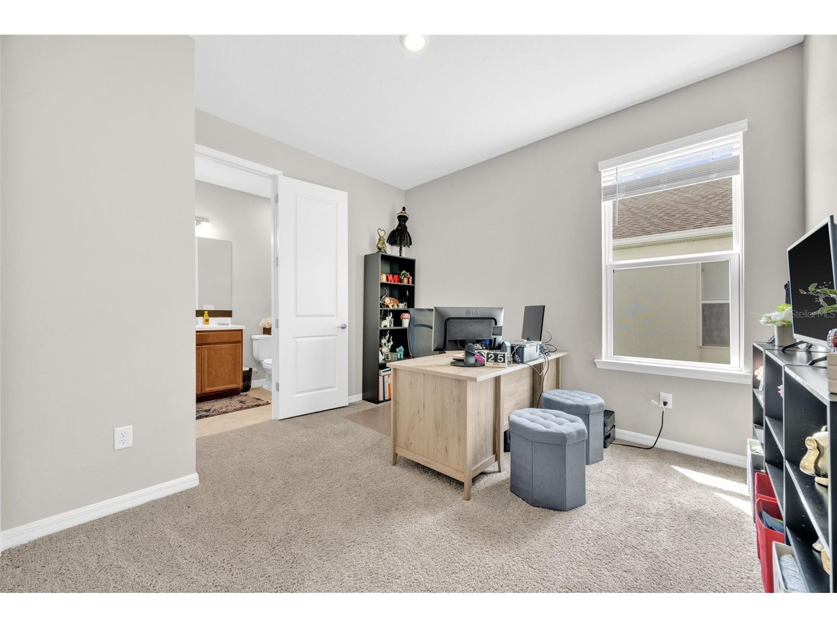 7201 Talamore Drive Wesley Chapel FL 33545 TB8496180 image28