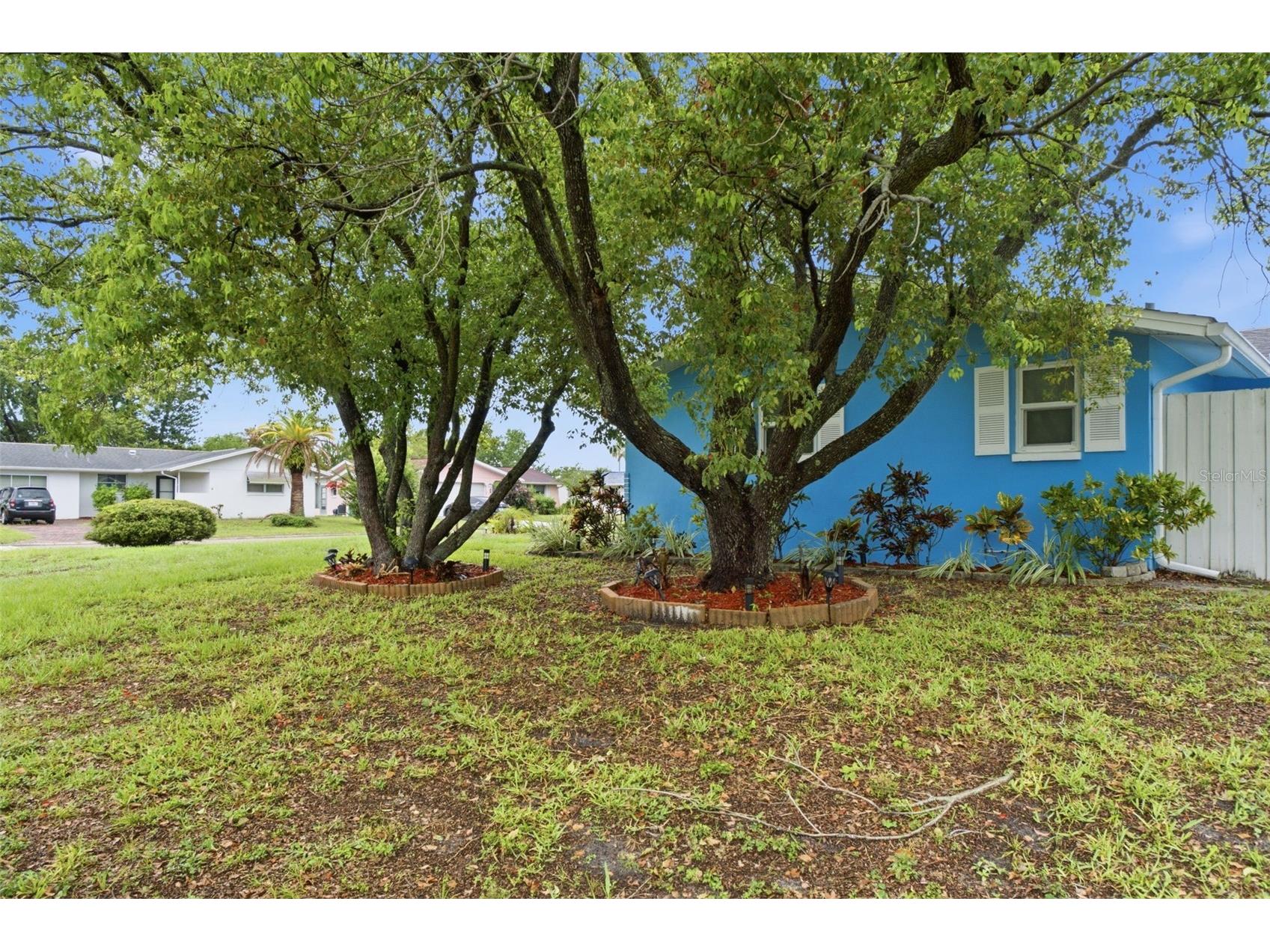 7203 Cherry Laurel Drive Port Richey FL 34668 W7887707 image11