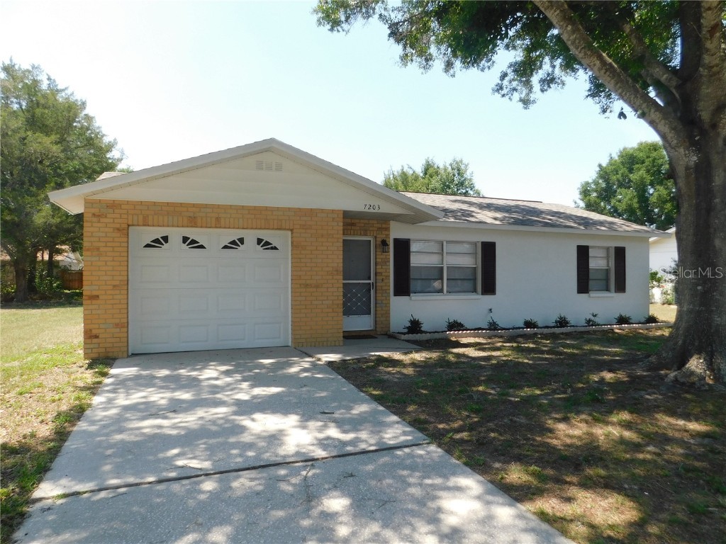 7203 Omega Court Zephyrhills FL 33540 T3444223 image1