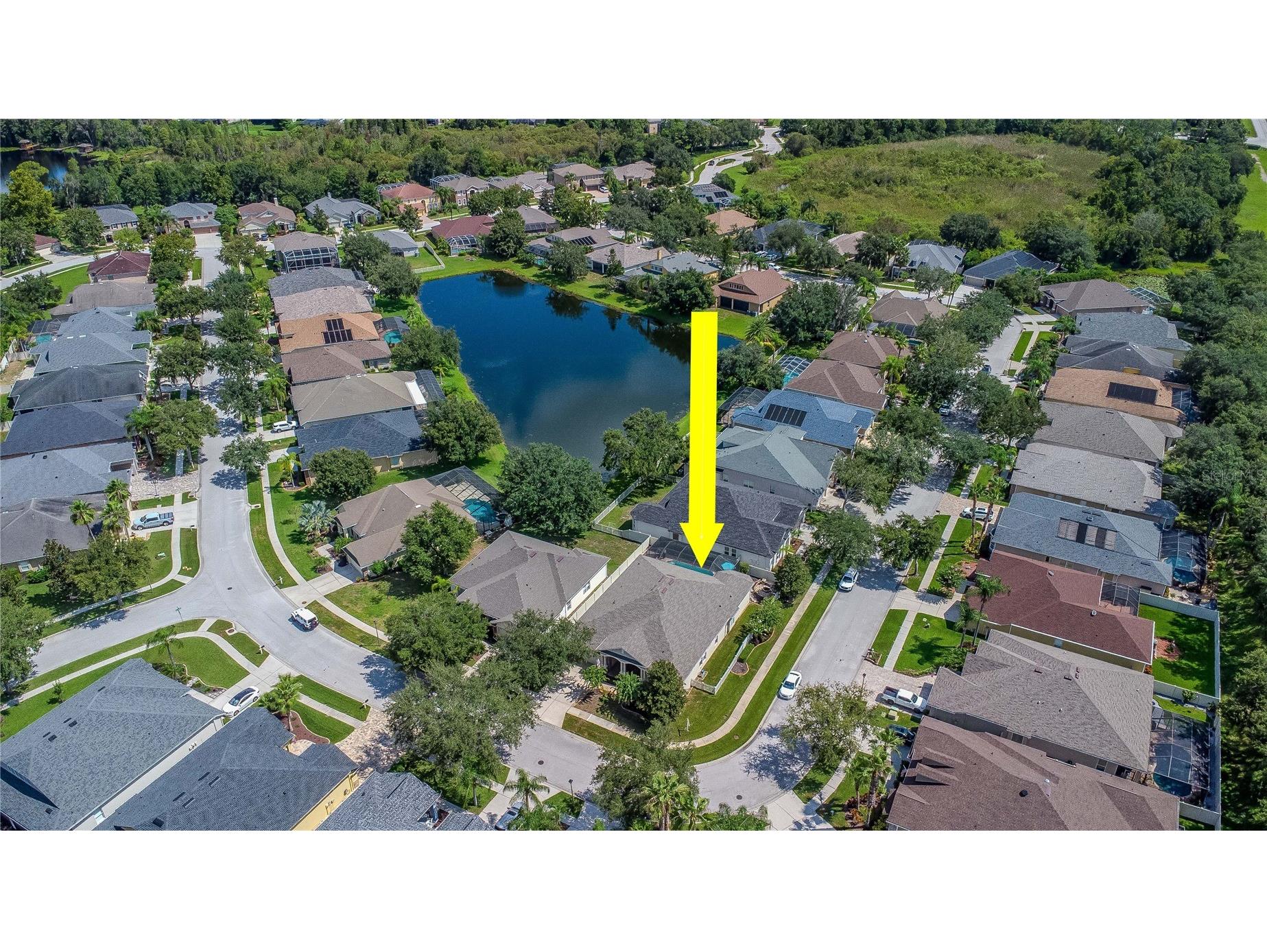 7204 Derwent Glen Circle Land O Lakes FL 34637 TB8416294 image1