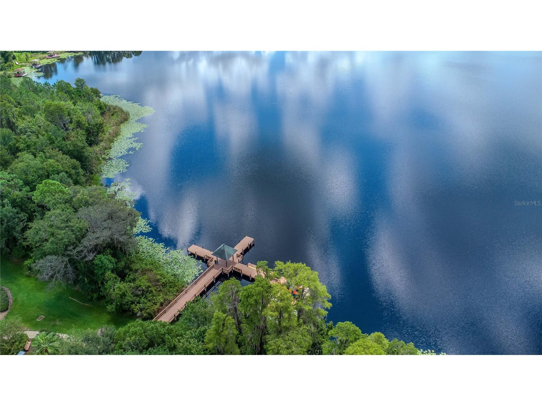 7204 Derwent Glen Circle Land O Lakes FL 34637 TB8416294 image15