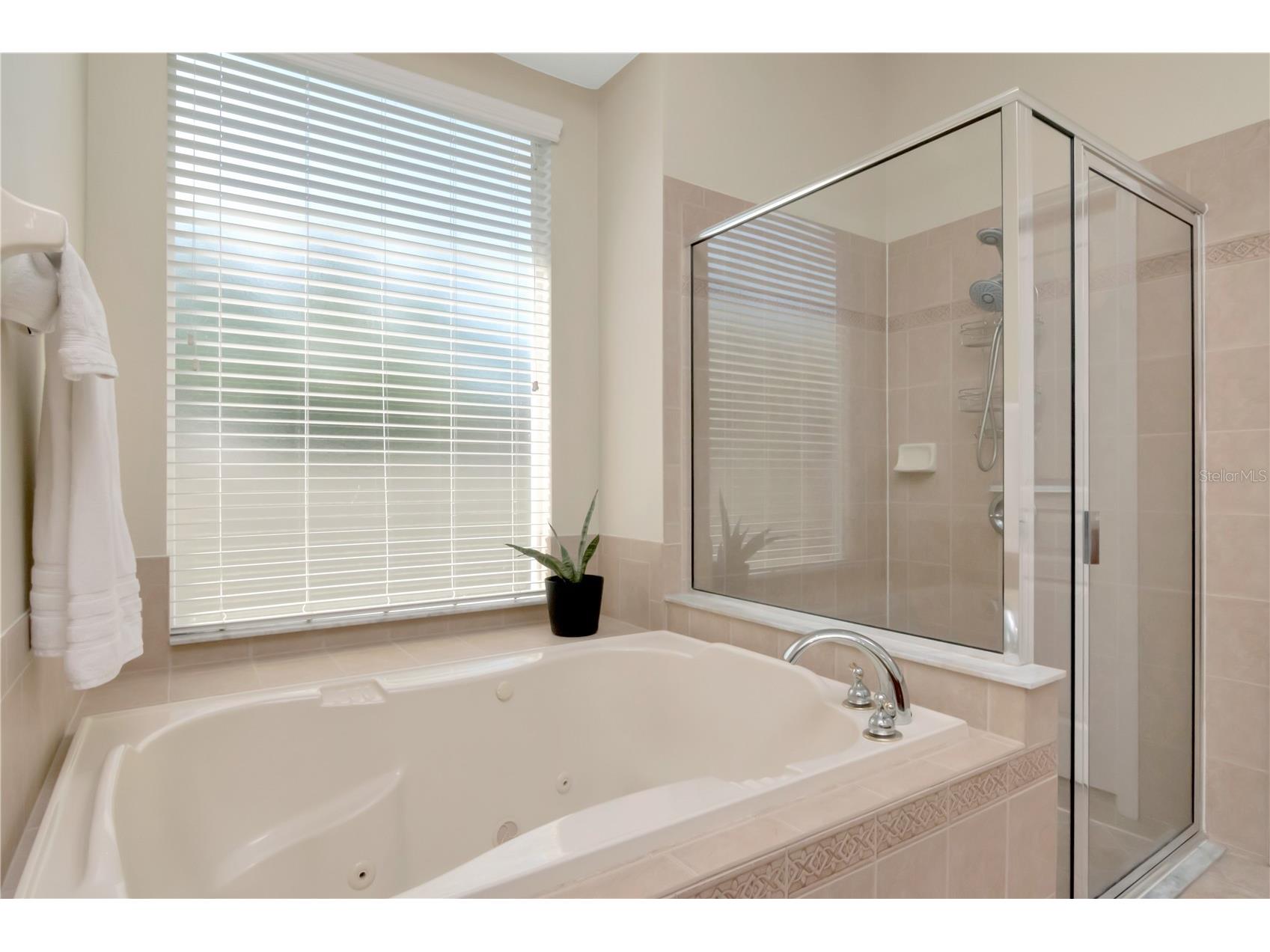 7204 Derwent Glen Circle Land O Lakes FL 34637 TB8416294 image40