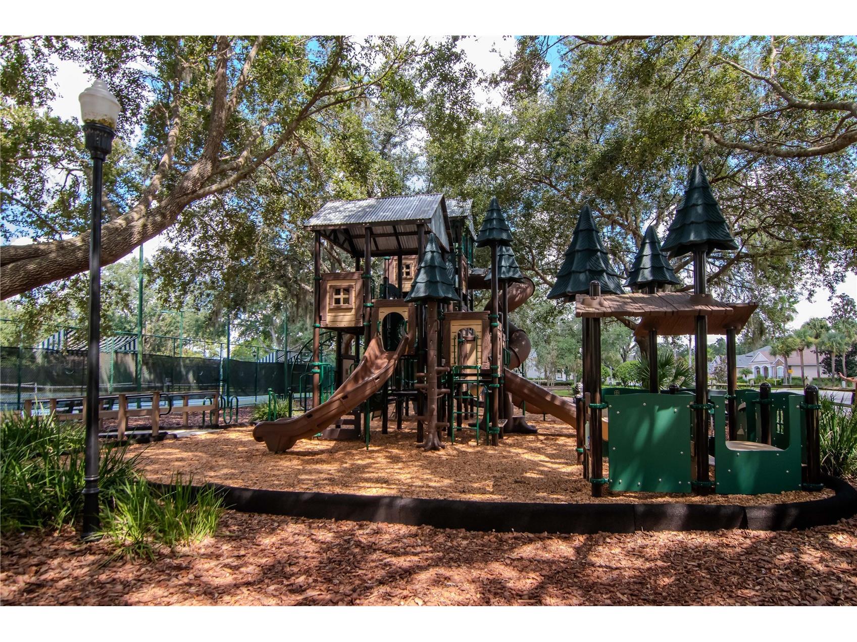 7204 Derwent Glen Circle Land O Lakes FL 34637 TB8416294 image59