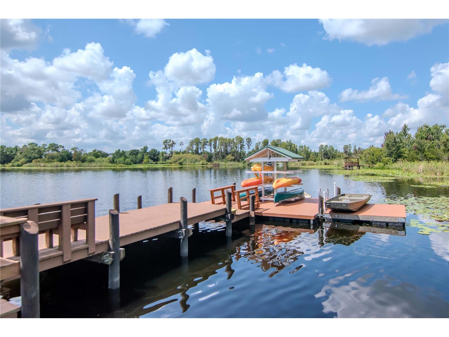 7204 Derwent Glen Circle Land O Lakes FL 34637 TB8416294 image65