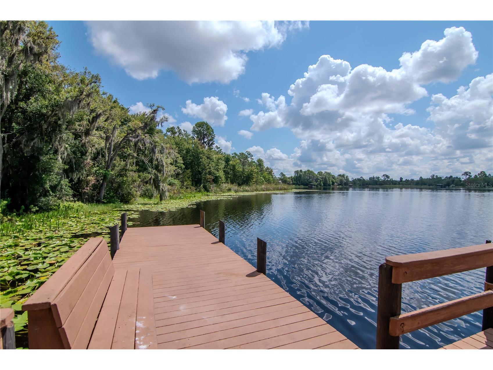 7204 Derwent Glen Circle Land O Lakes FL 34637 TB8416294 image66