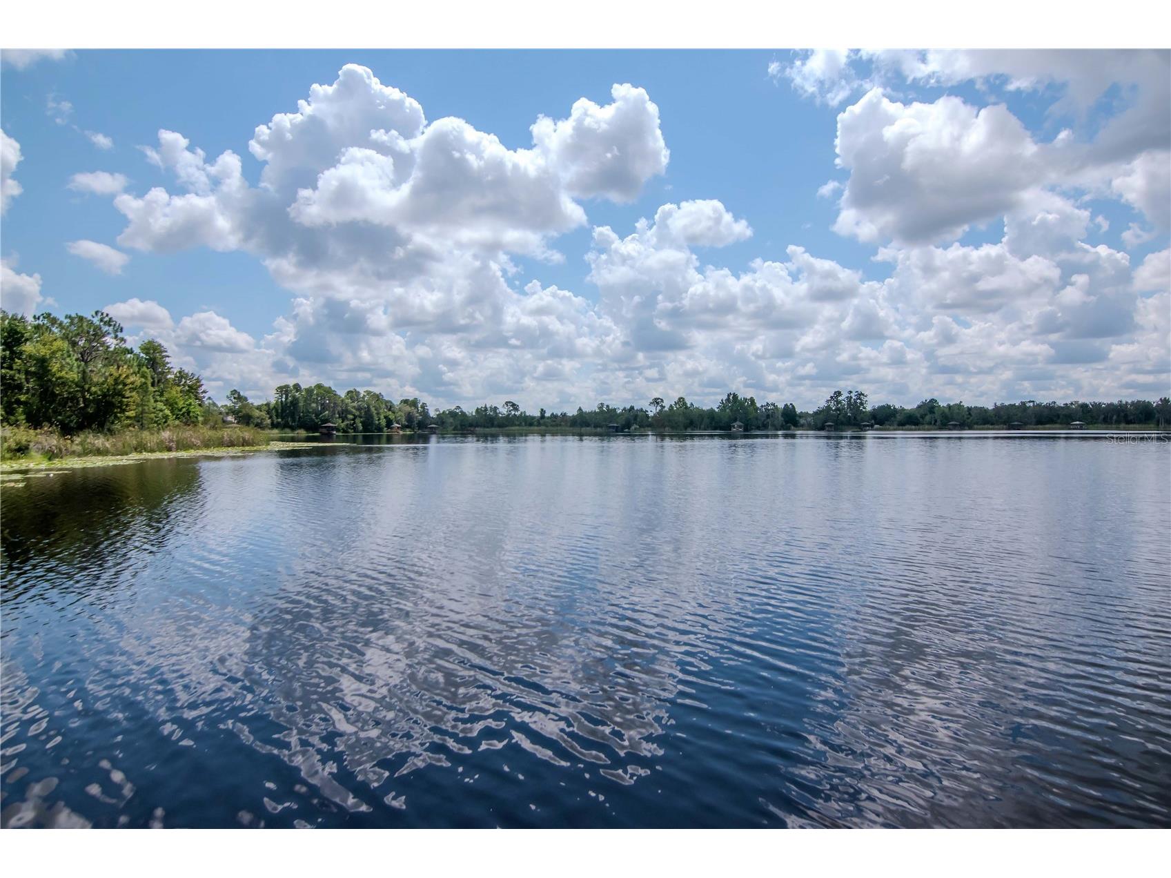 7204 Derwent Glen Circle Land O Lakes FL 34637 TB8416294 image67