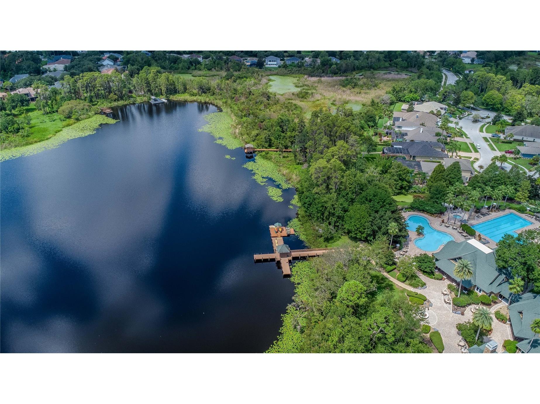 7204 Derwent Glen Circle Land O Lakes FL 34637 TB8416294 image92