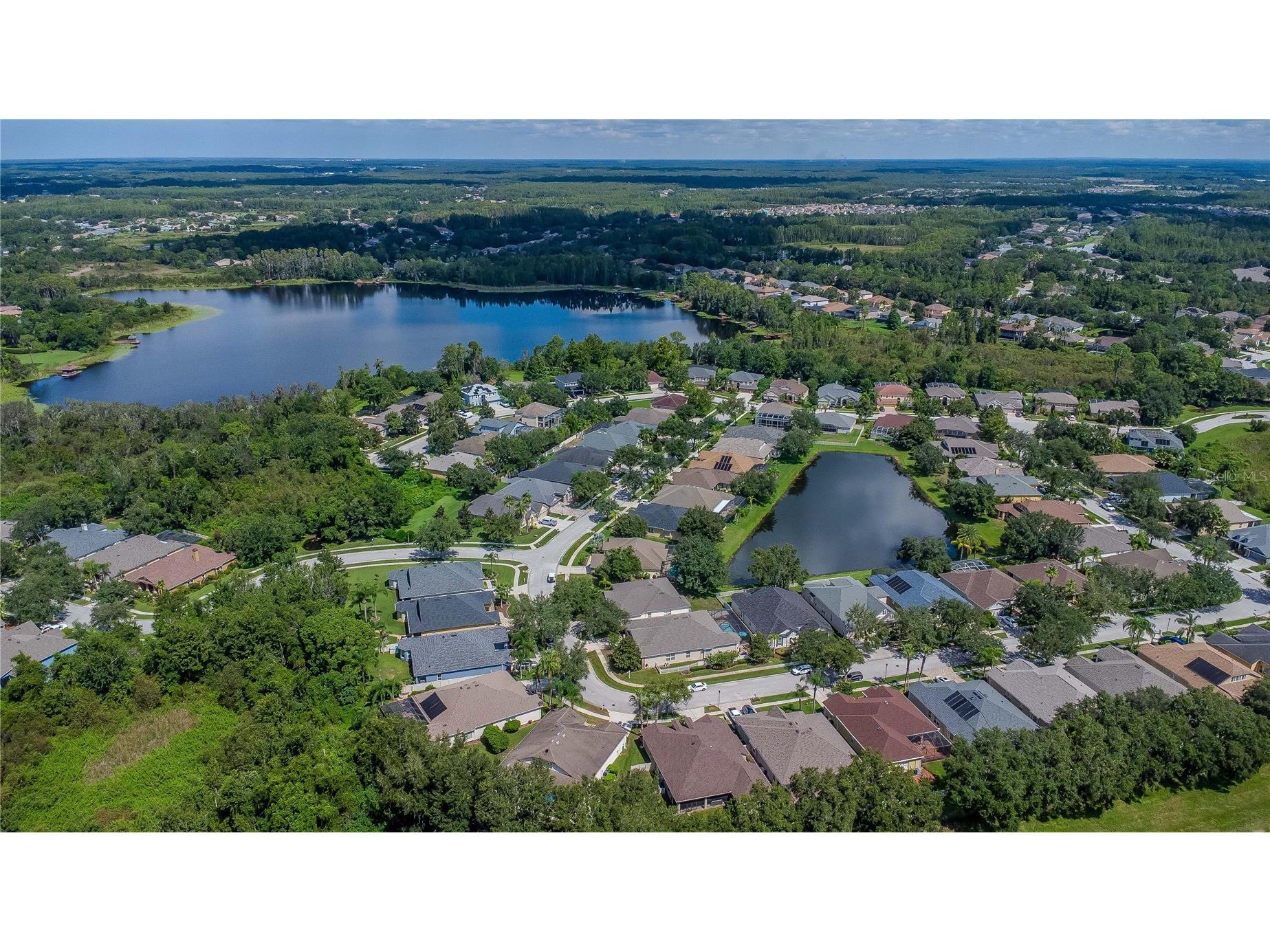 7204 Derwent Glen Circle Land O Lakes FL 34637 TB8416294 image97