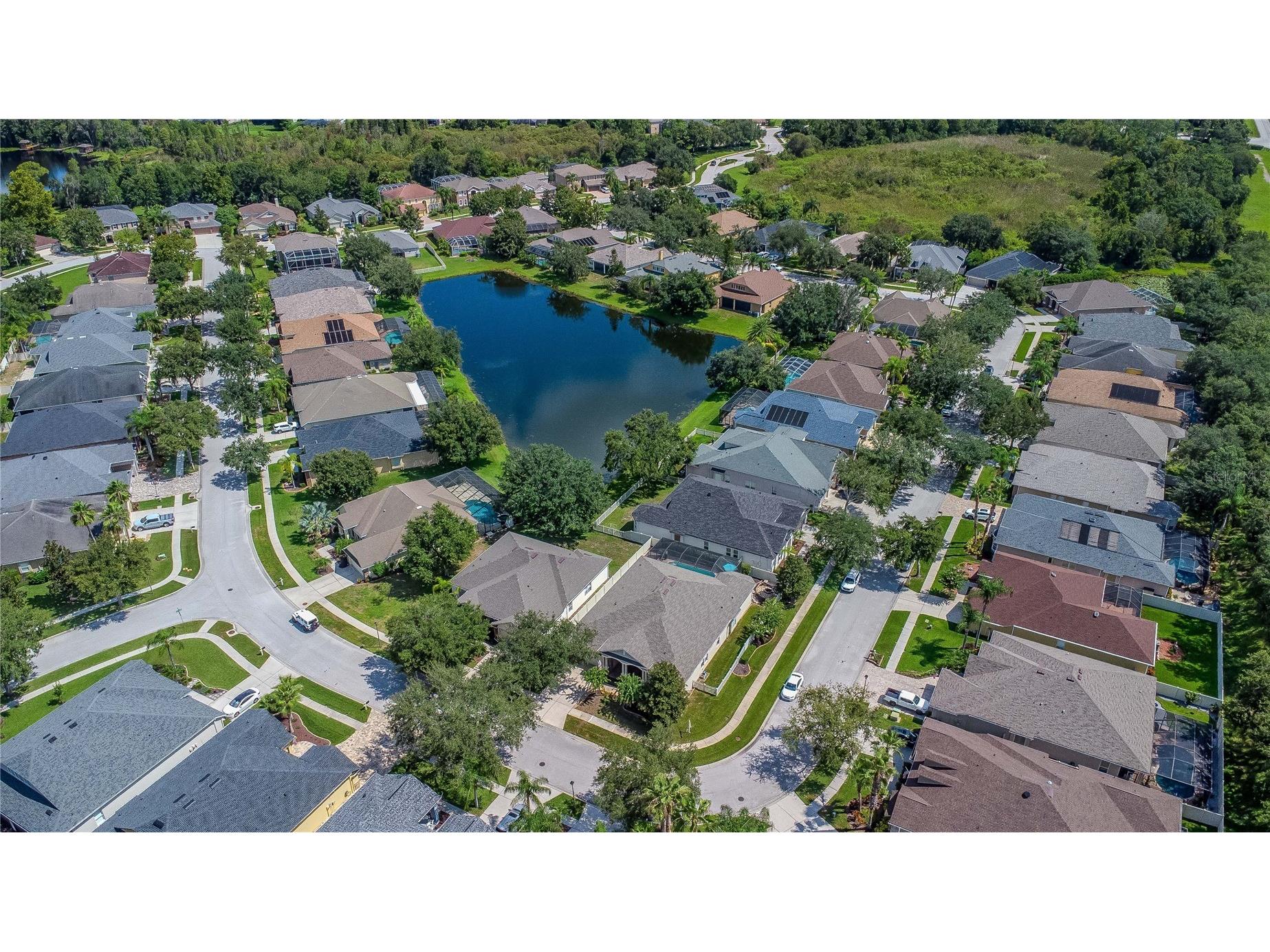 7204 Derwent Glen Circle Land O Lakes FL 34637 TB8416294 image99