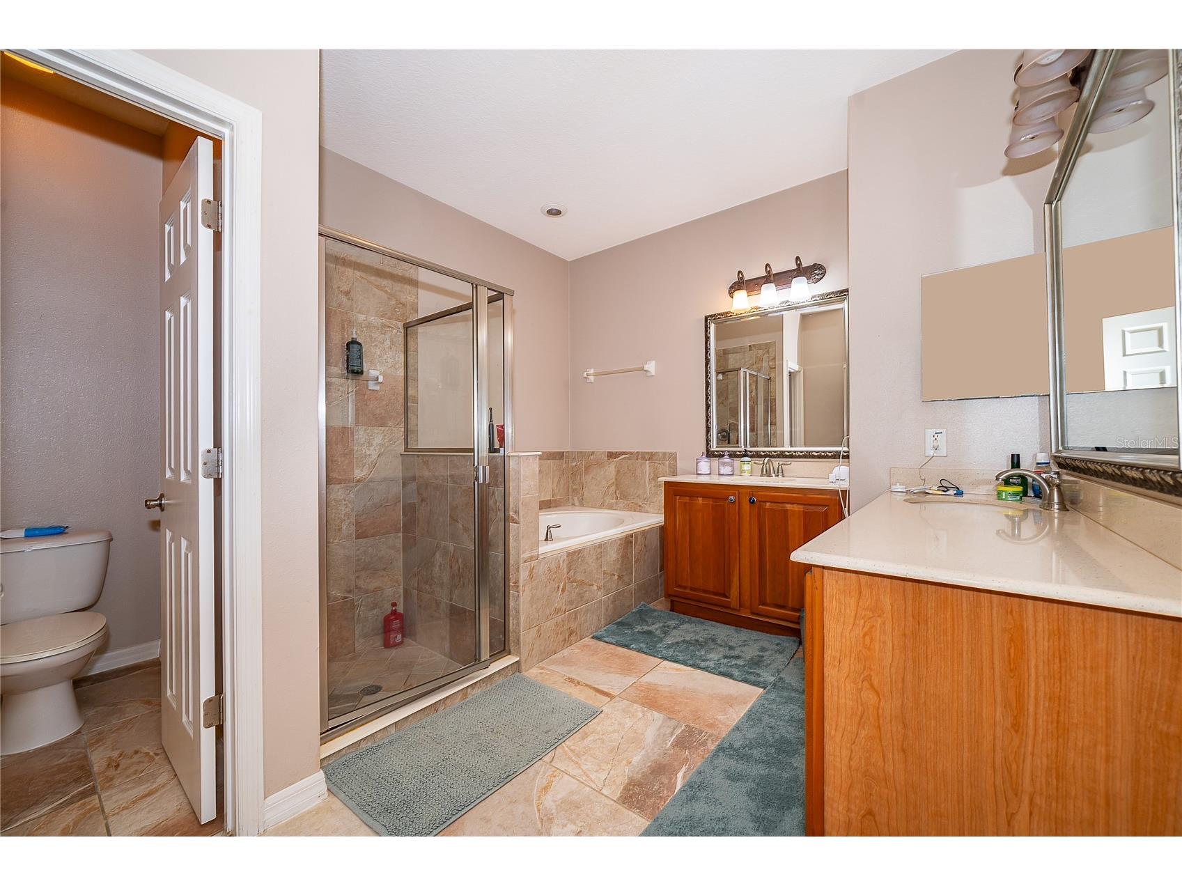 7204 Mystic Brook Way Davenport FL 33896 O6398649 image16