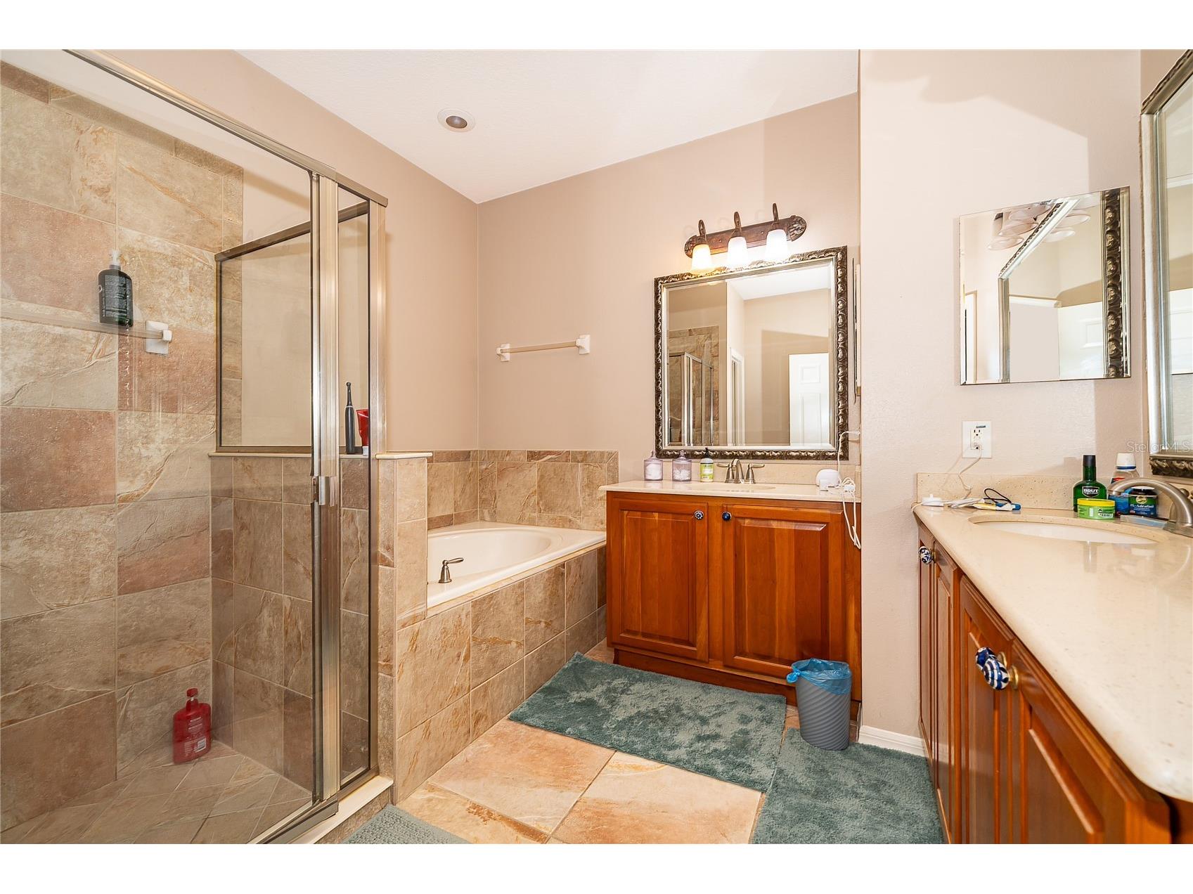 7204 Mystic Brook Way Davenport FL 33896 O6398649 image17