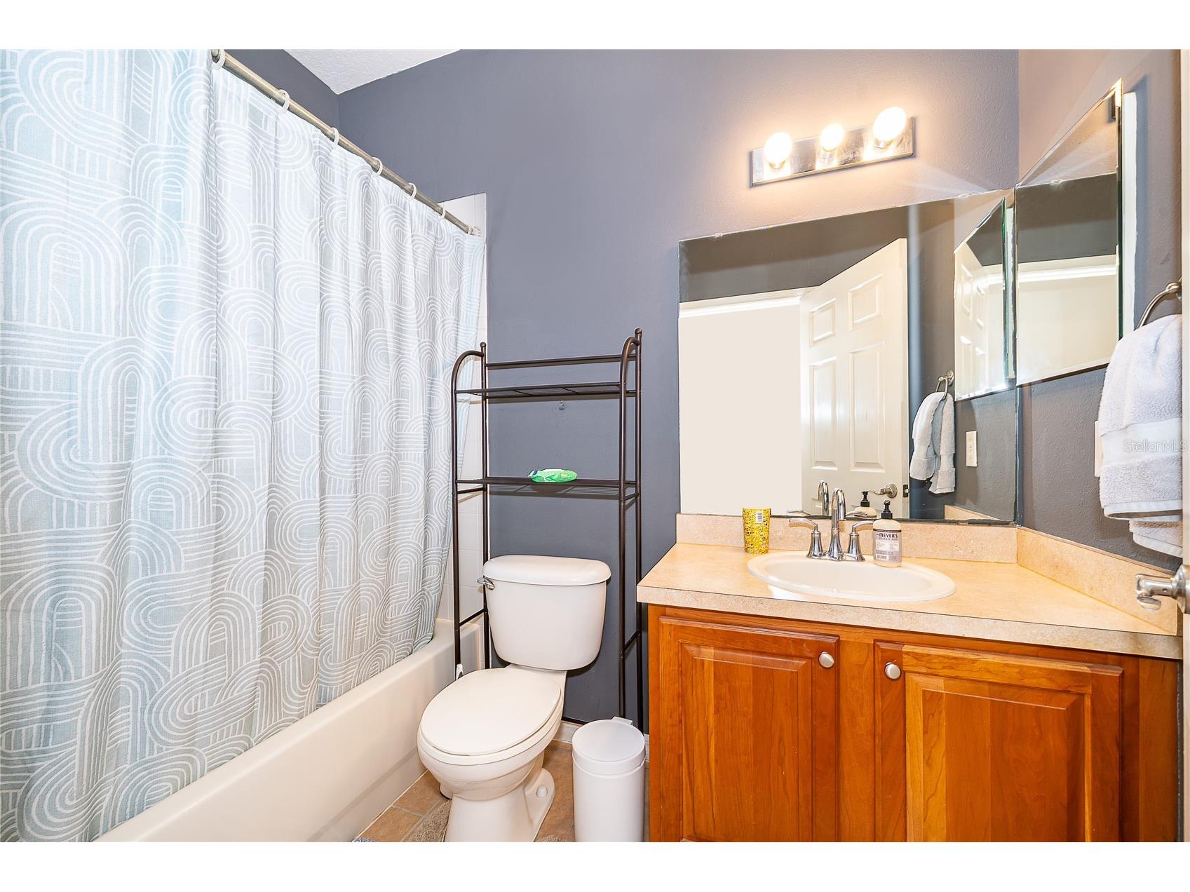 7204 Mystic Brook Way Davenport FL 33896 O6398649 image21