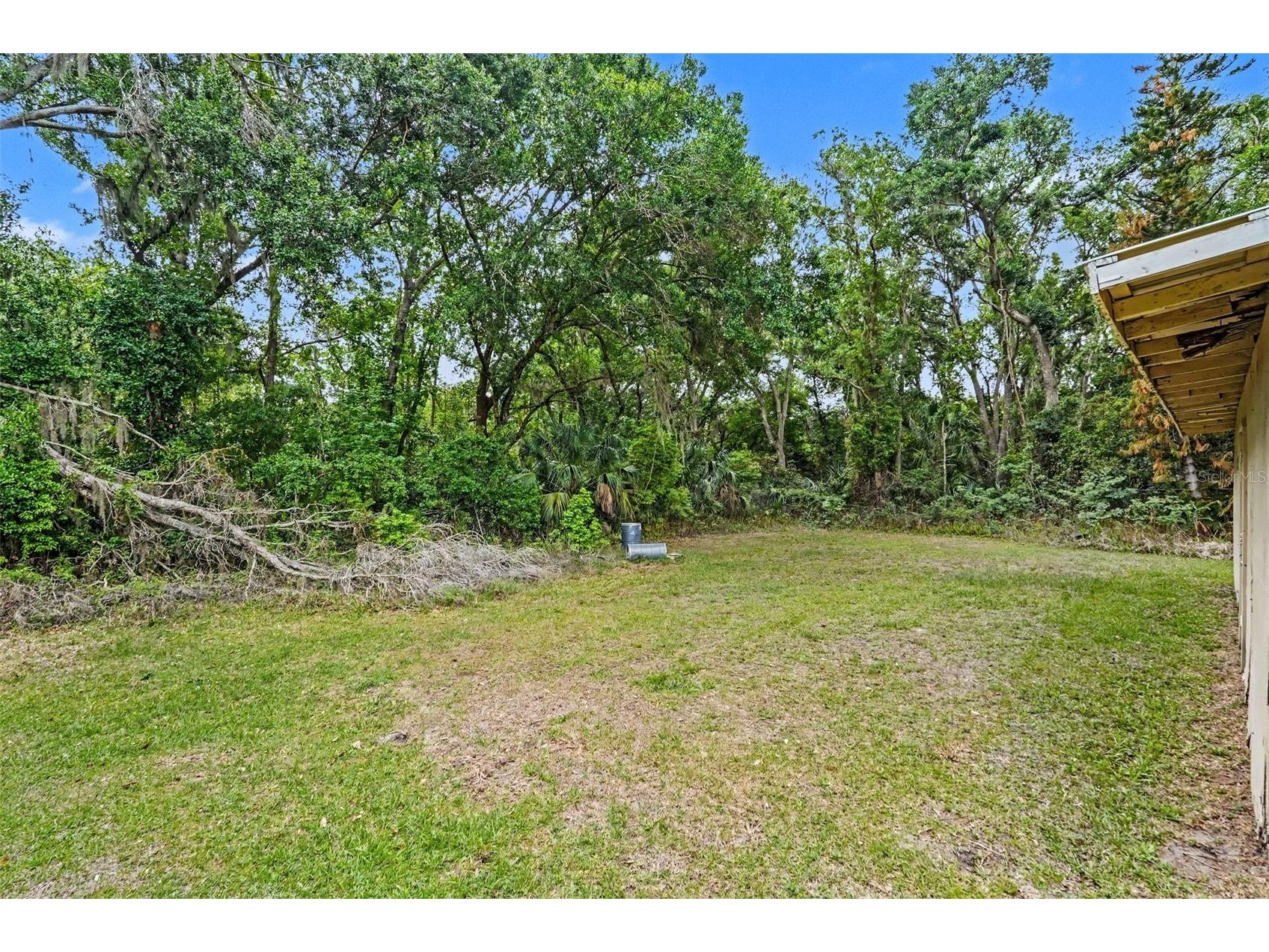 7206 Alafia Drive Riverview FL 33578 TB8518634 image22