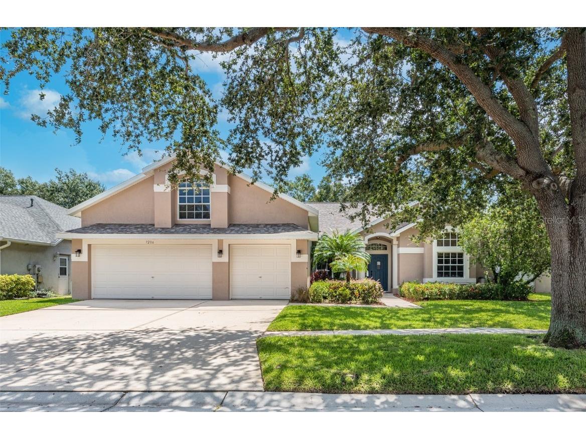 7206 Bucks Ford Drive Riverview FL 33578 T3465738 image1