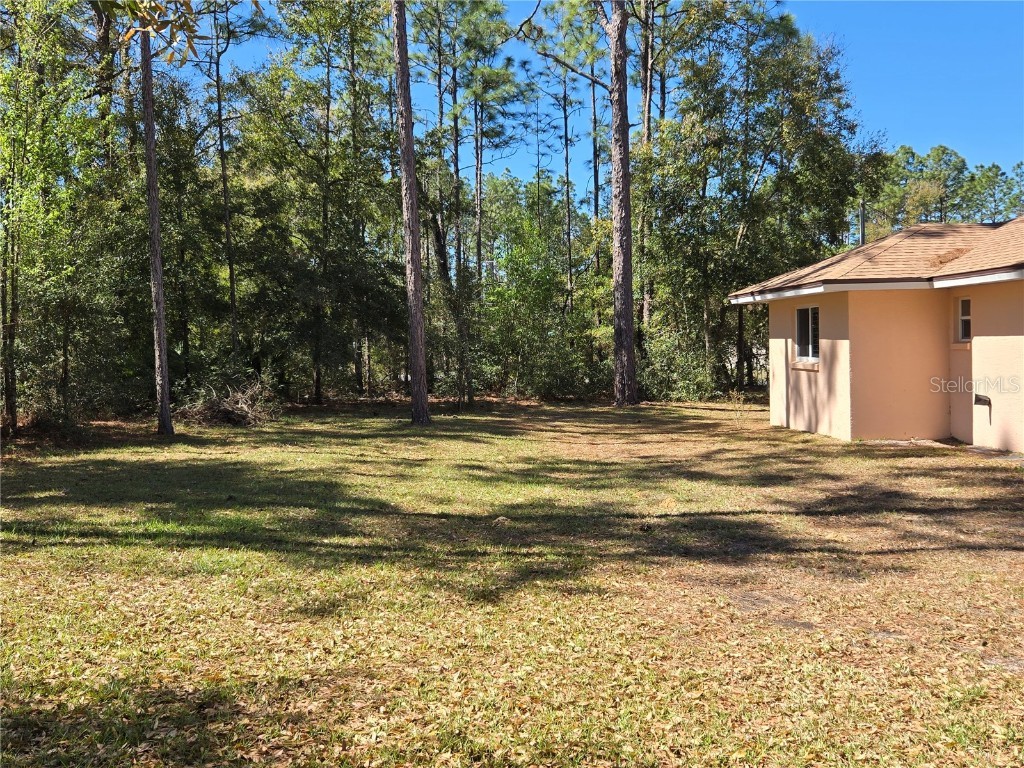 7206 N Glenridge Circle Citrus Springs FL 34434 O6293859 image11