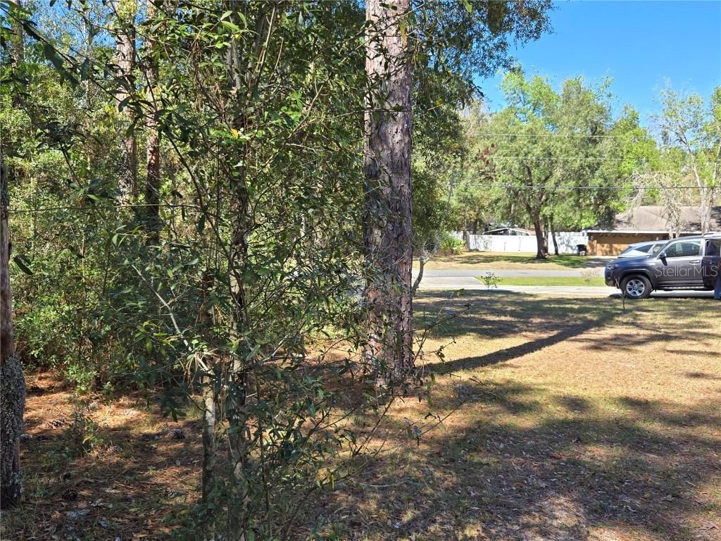 7206 N Glenridge Circle Citrus Springs FL 34434 O6293859 image13