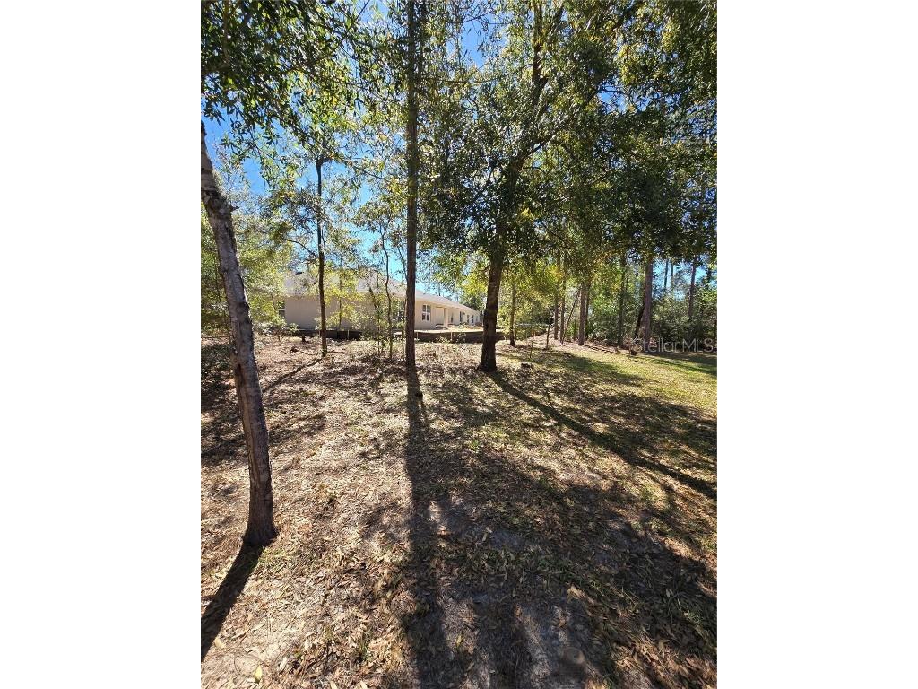 7206 N Glenridge Circle Citrus Springs FL 34434 O6293859 image5