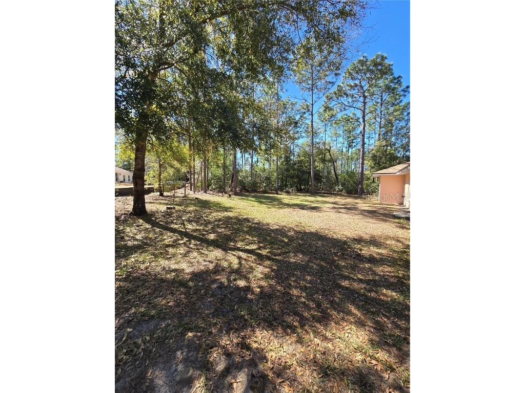 7206 N Glenridge Circle Citrus Springs FL 34434 O6293859 image6