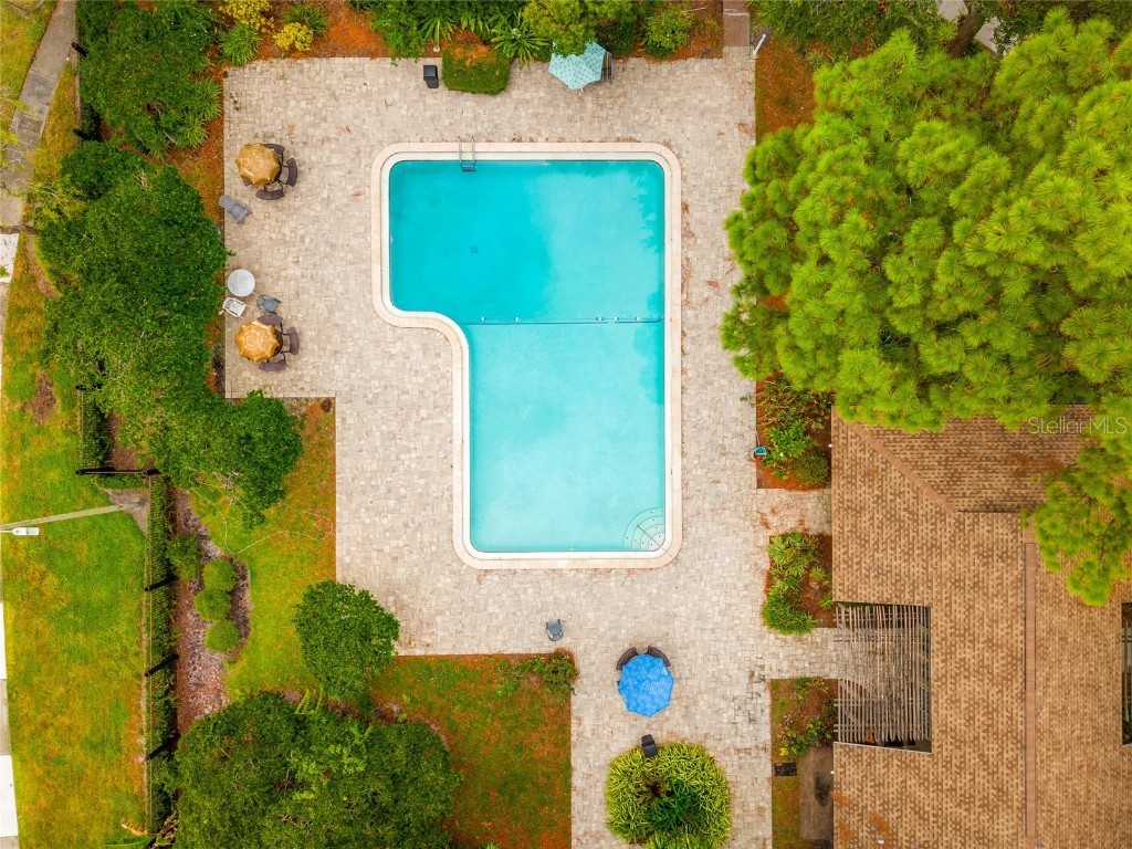 7206 San Luis Court Tampa FL 33634 TB8444006 image31