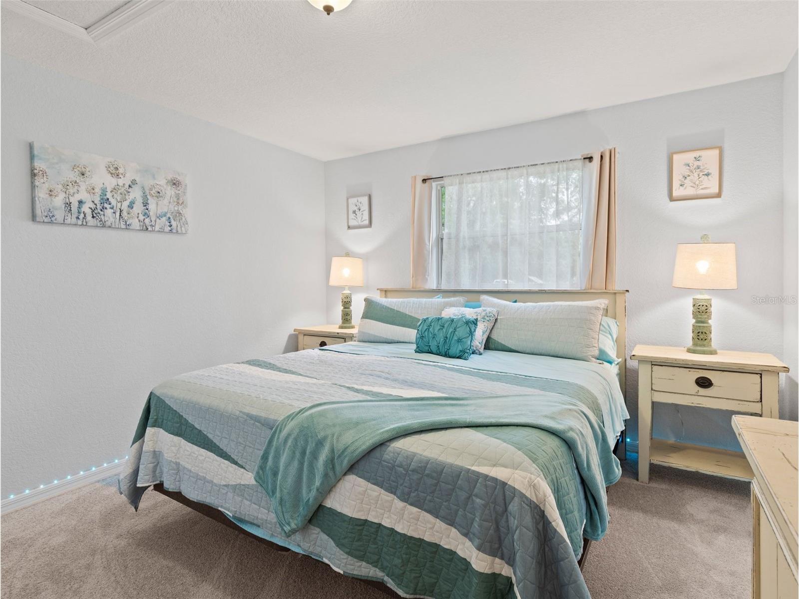 7206 Schering Street Weeki Wachee FL 34613 TB8512915 image30