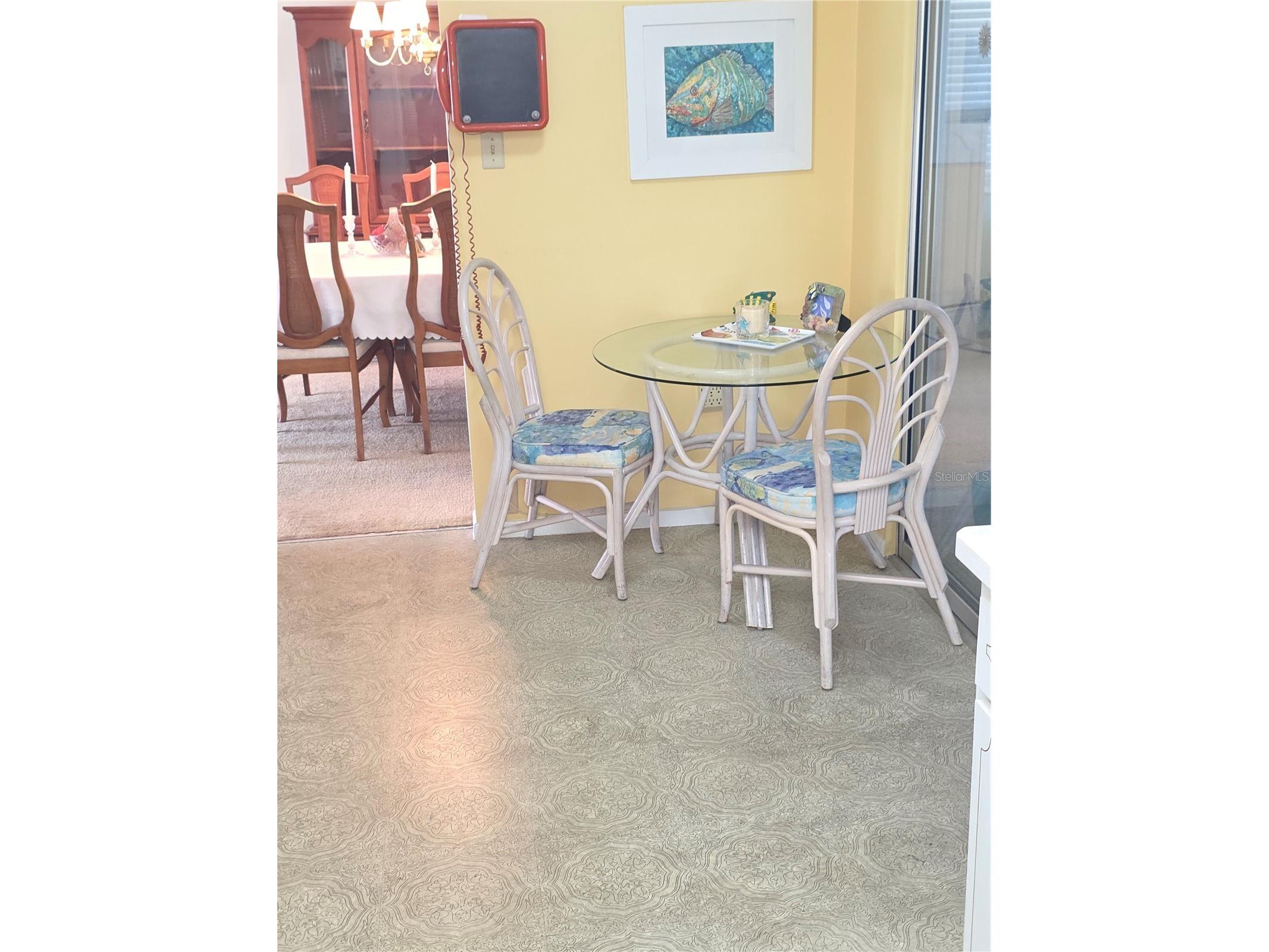 7207 Ashwood Drive Port Richey FL 34668 W7883825 image10