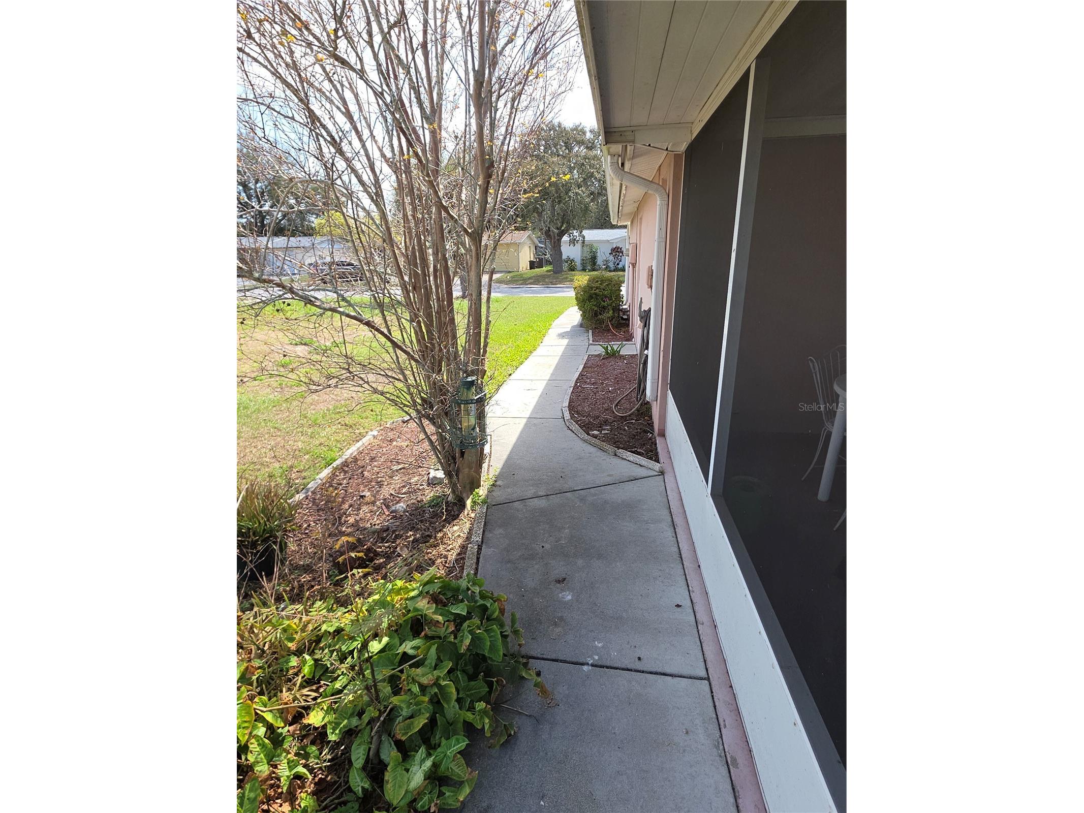7207 Ashwood Drive Port Richey FL 34668 W7883825 image2