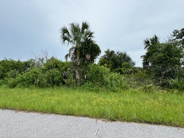 7207 Dooley Port Charlotte FL 33981 C7514342 image2