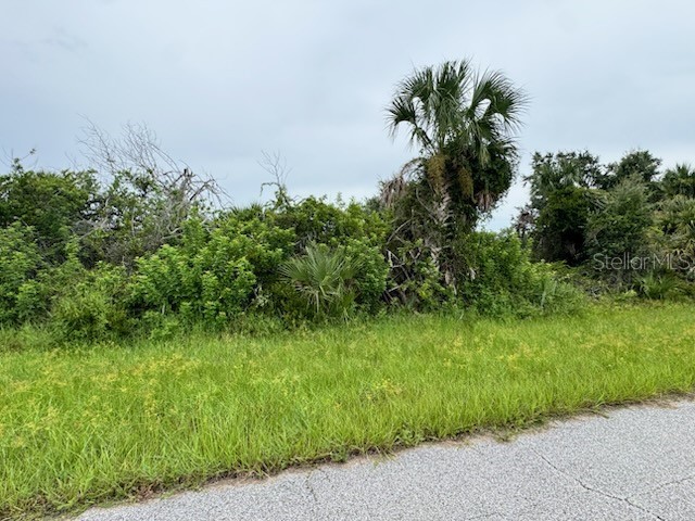 7207 Dooley Port Charlotte FL 33981 C7514342 image3