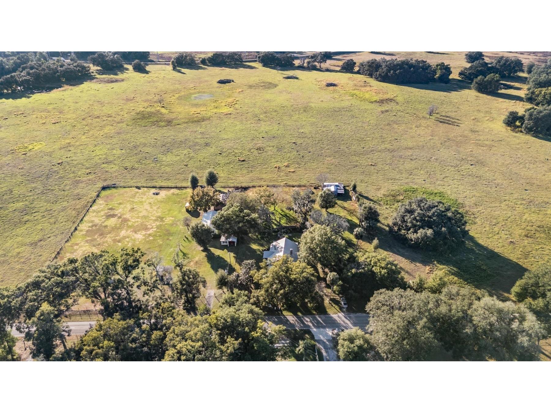 7207 Elwood Road Zephyrhills FL 33540 TB8446889 image17