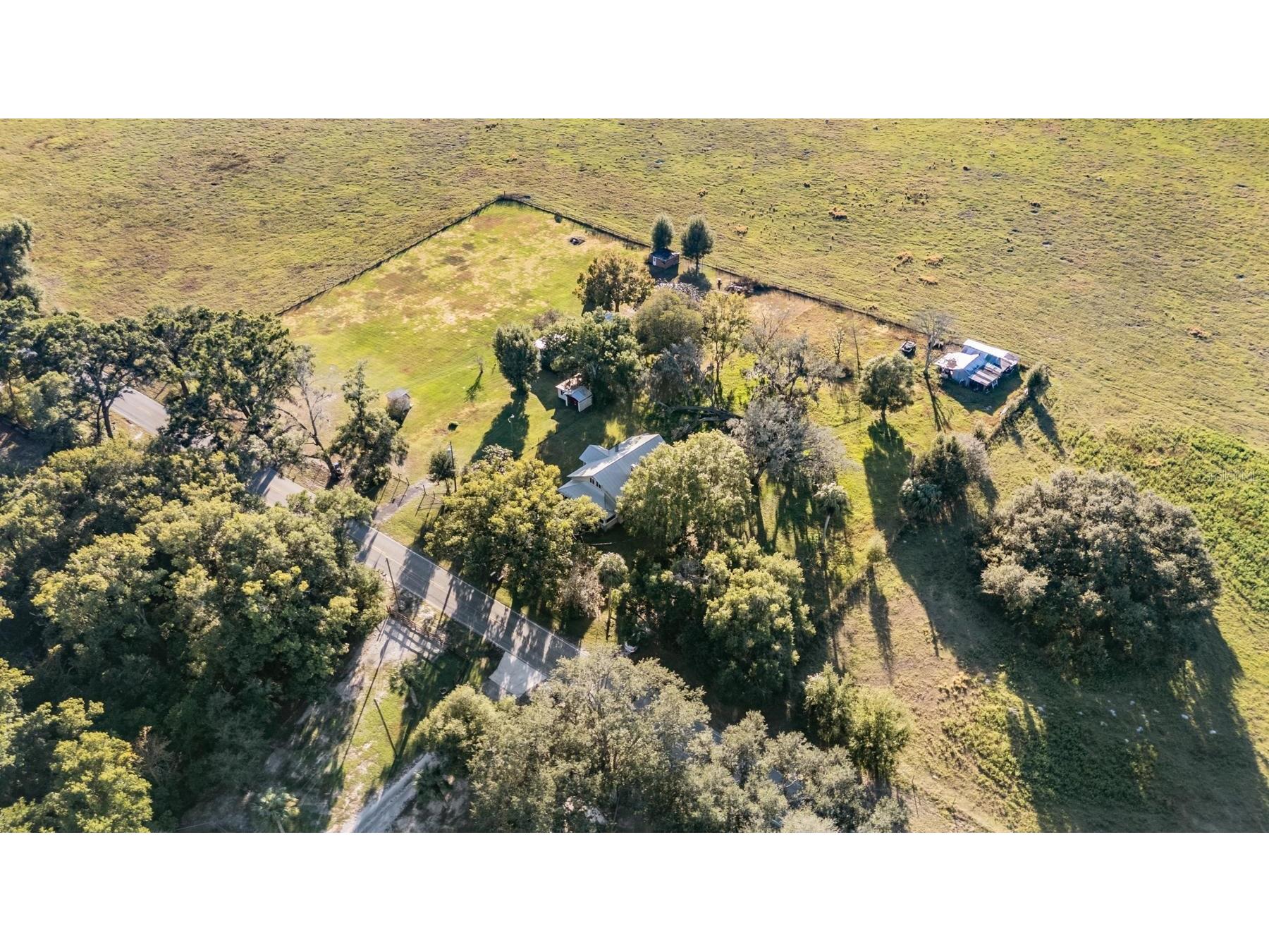 7207 Elwood Road Zephyrhills FL 33540 TB8446889 image18