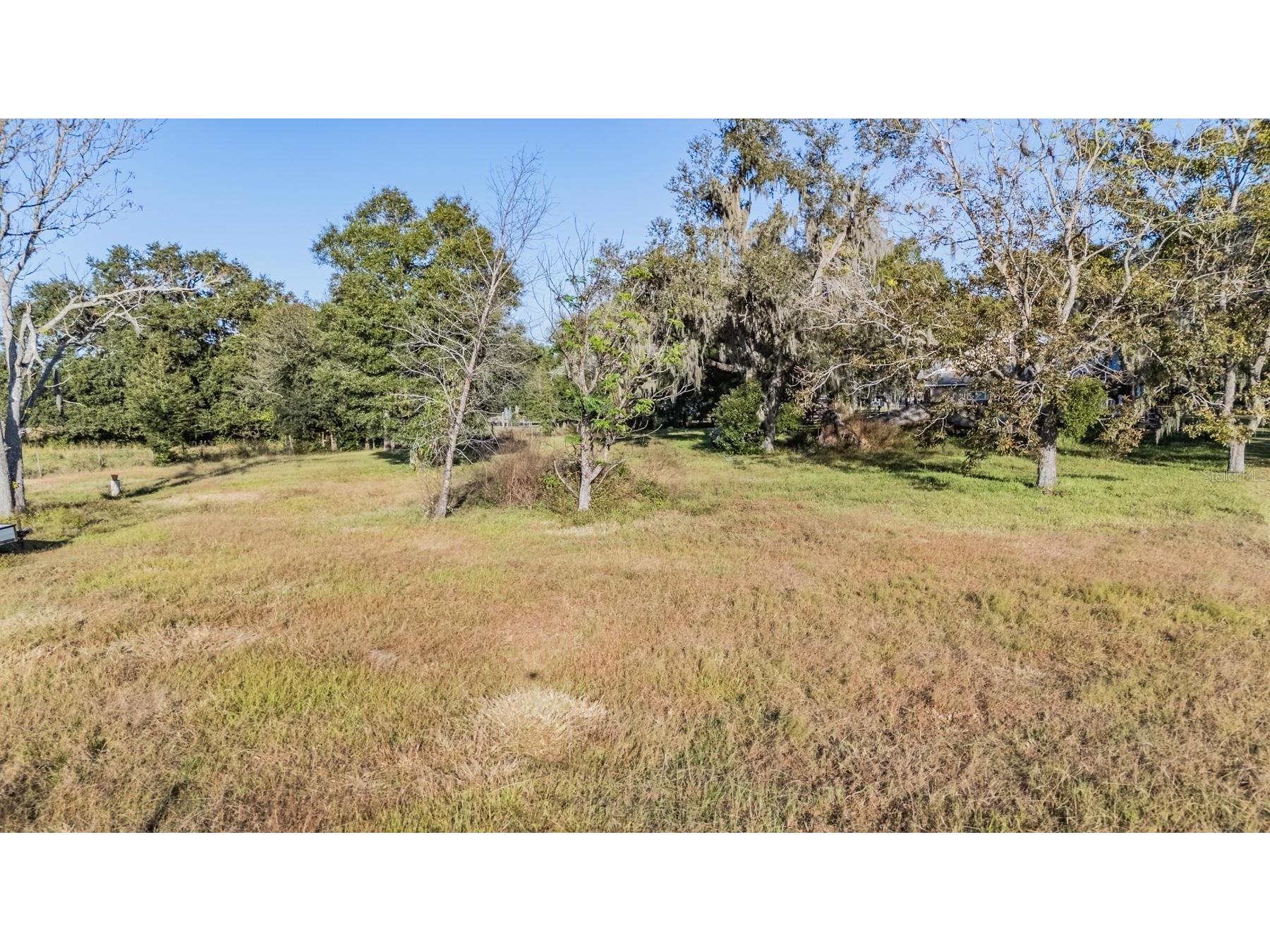 7207 Elwood Road Zephyrhills FL 33540 TB8446889 image20