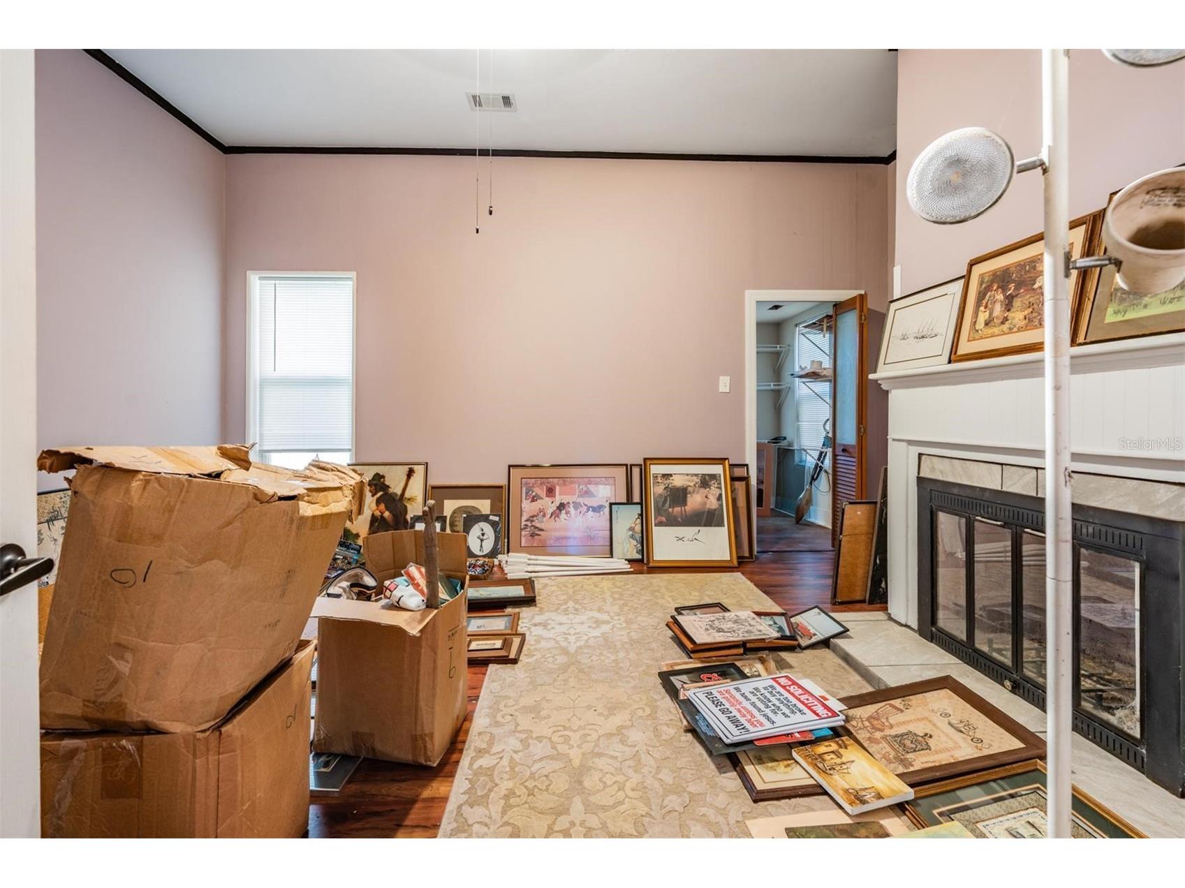 7207 Elwood Road Zephyrhills FL 33540 TB8446889 image21