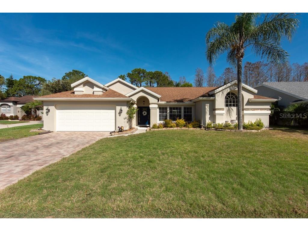 7207 Forestedge Court New Port Richey FL 34655 T3429577 image1