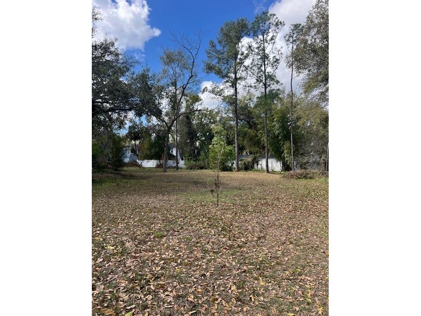 7208 N 12th Street Tampa FL 33604 TB8481902 image5