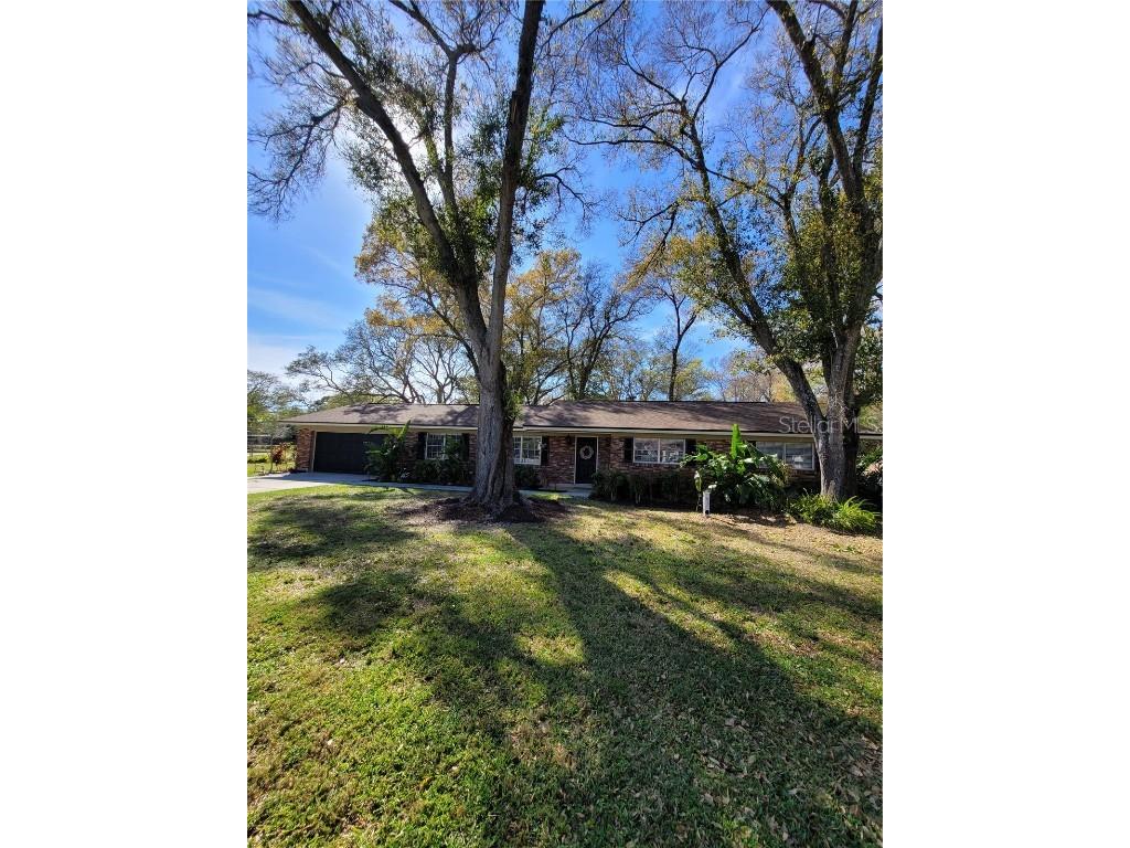 7208 Pat Boulevard Tampa FL 33615 T3507803 image1