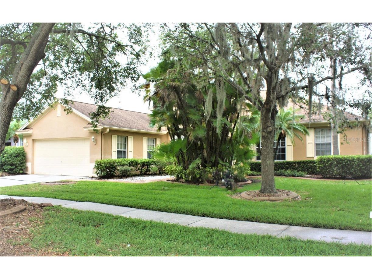 7209 Colonial Lake Drive Riverview FL 33578 T3454923 image1