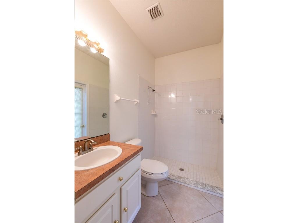 7209 Colonial Lake Drive Riverview FL 33578 - LAKE SAINT CHARLES TB8450740 image26