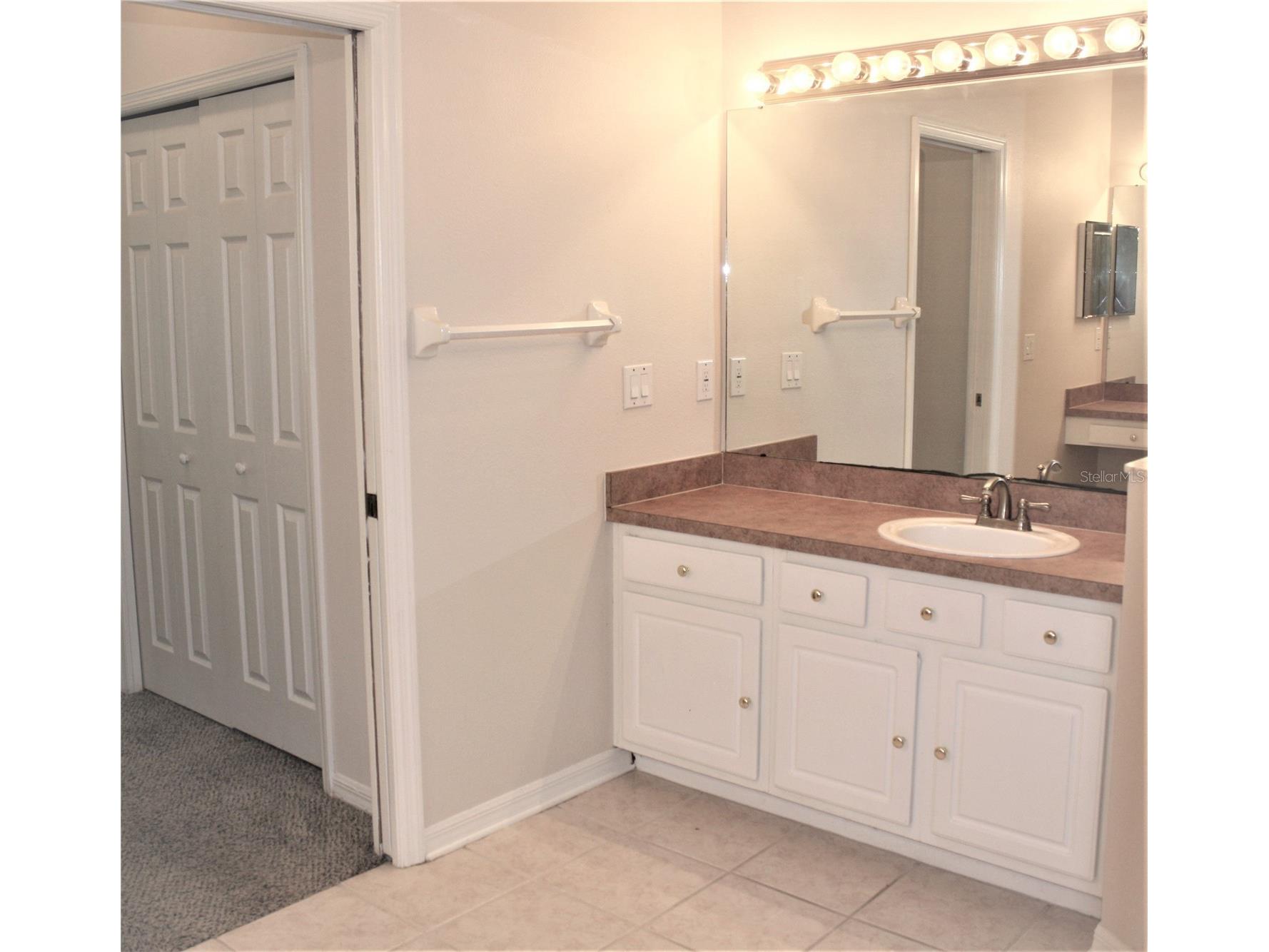 7209 Colonial Lake Drive Riverview FL 33578 TB8492319 image16