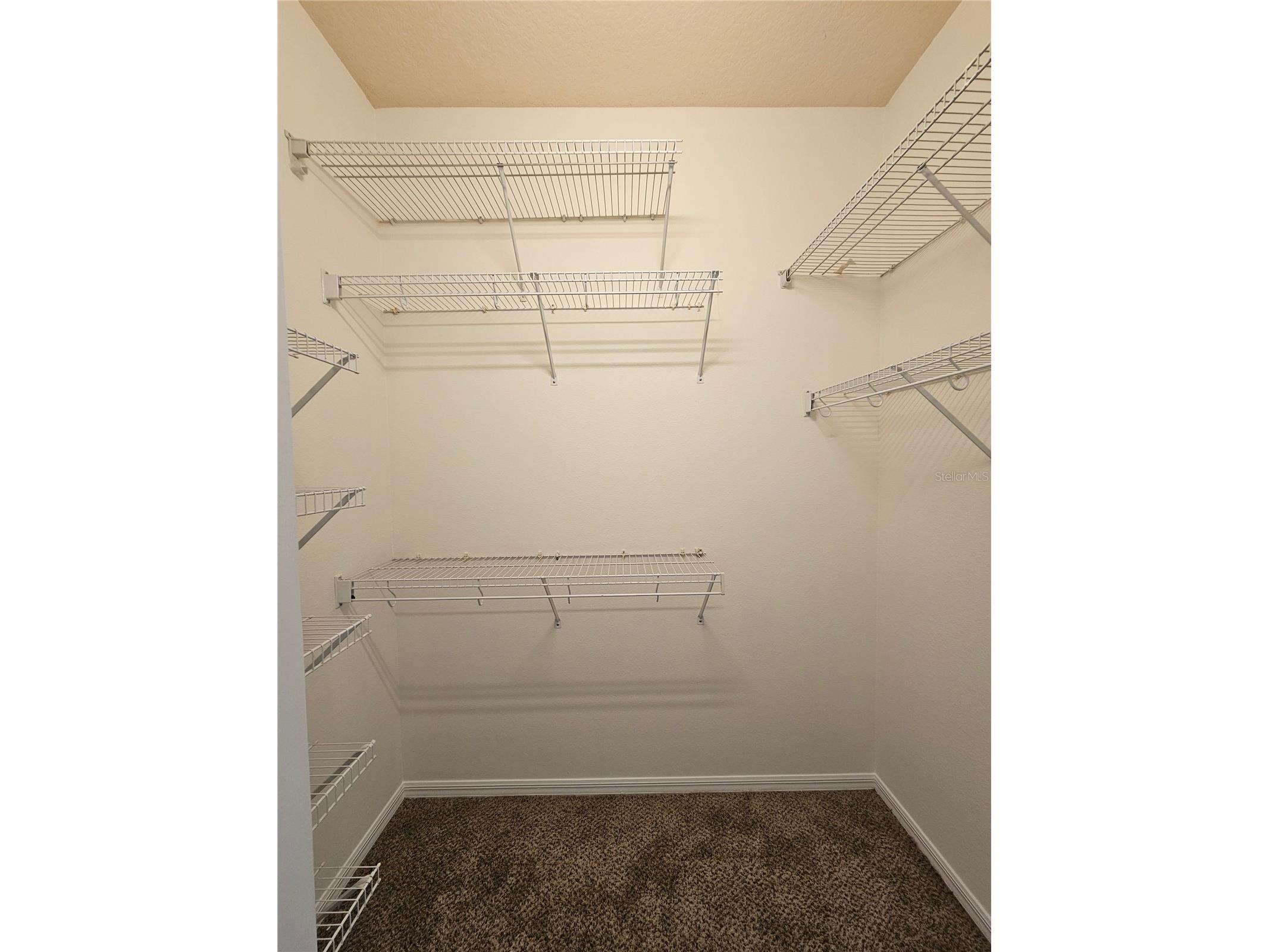 7209 Colonial Lake Drive Riverview FL 33578 TB8492319 image18