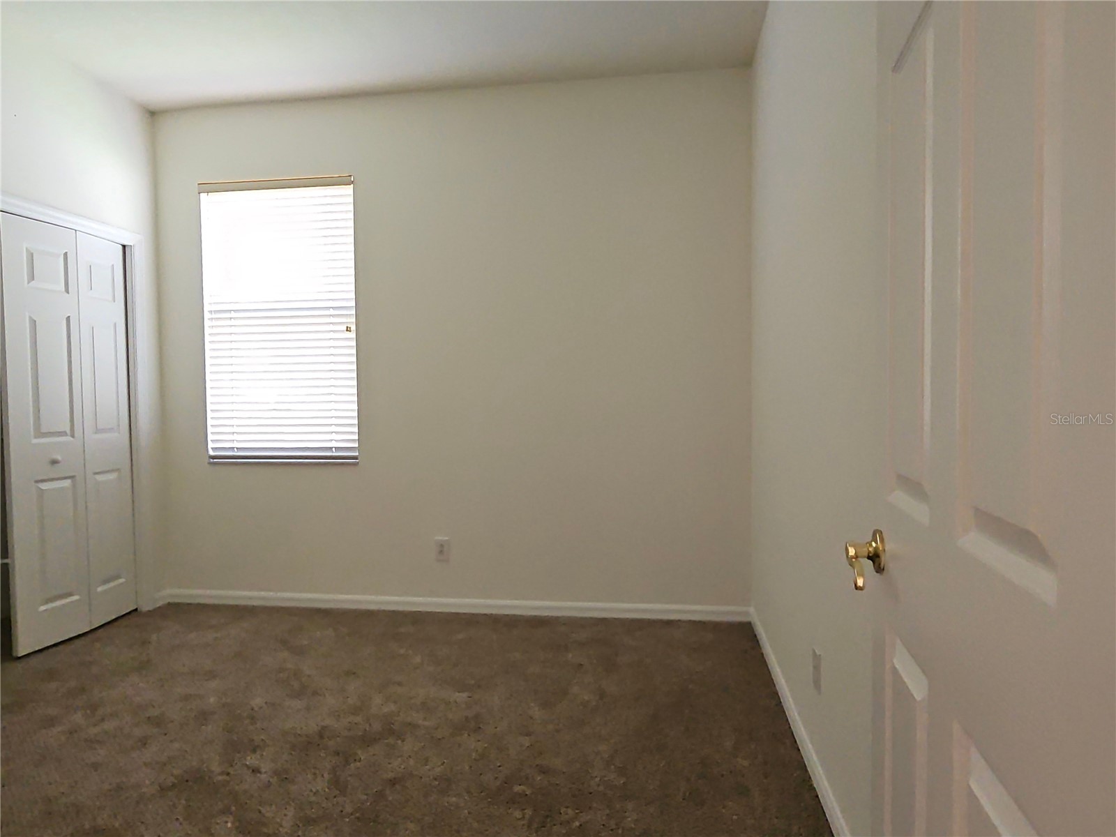 7209 Colonial Lake Drive Riverview FL 33578 TB8492319 image20