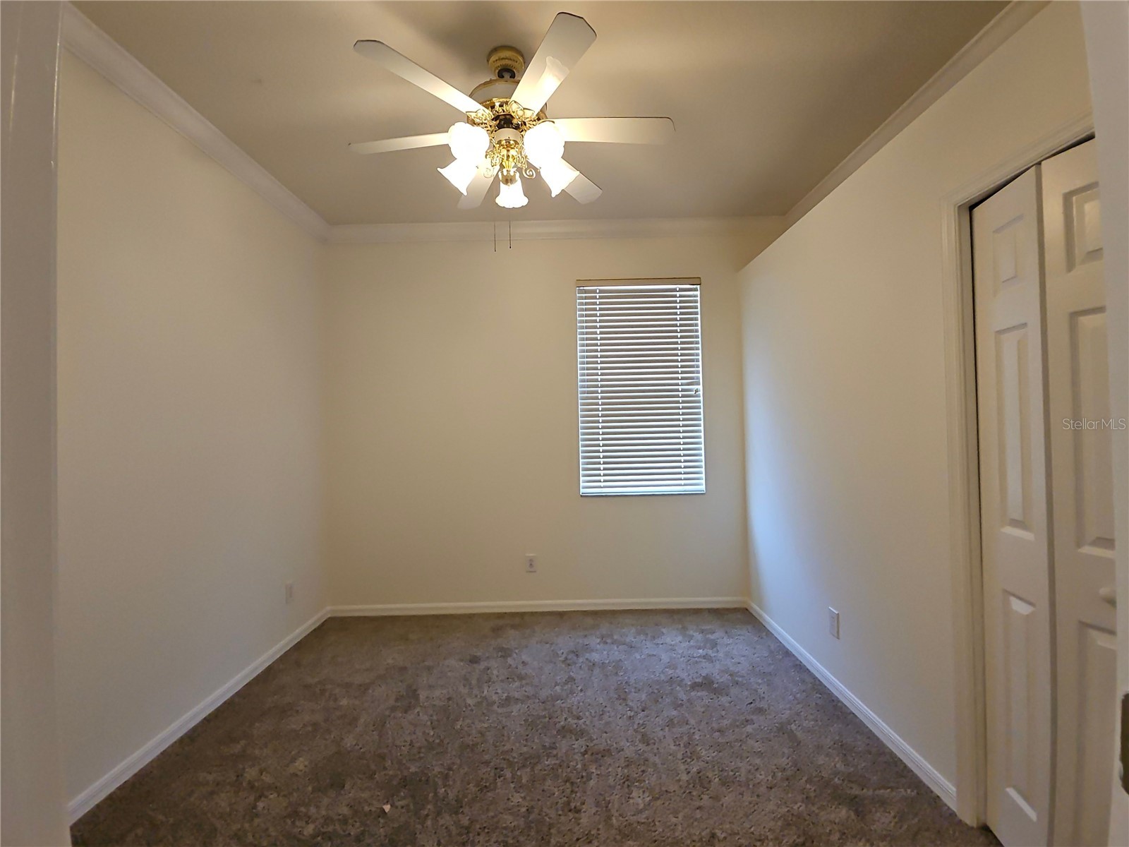 7209 Colonial Lake Drive Riverview FL 33578 TB8492319 image21